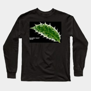 Ilex aquifolium  &#39;Ingramii&#39;  Holly leaf Long Sleeve T-Shirt